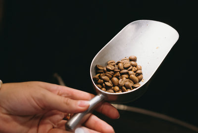 Qu’est-ce qu’un café de spécialité ?