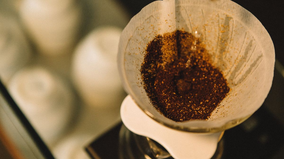 Les meilleurs cafés pour cafetière filtre : comment bien choisir ?