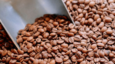 Faut-il conserver le café au frigo ? Les conseils de nos torréfacteurs