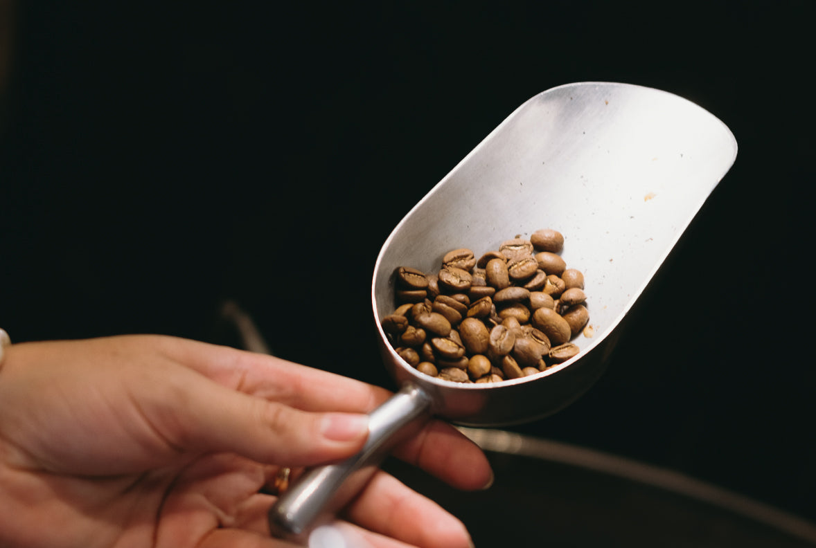 Qu’est-ce qu’un café de spécialité ?