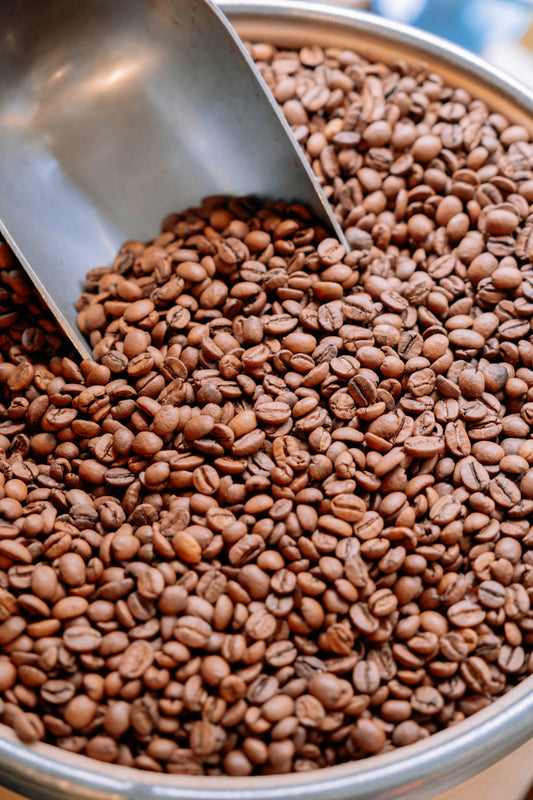 Brûlerie de la Folie-Méricourt